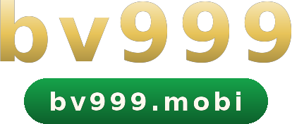 bv999 logo